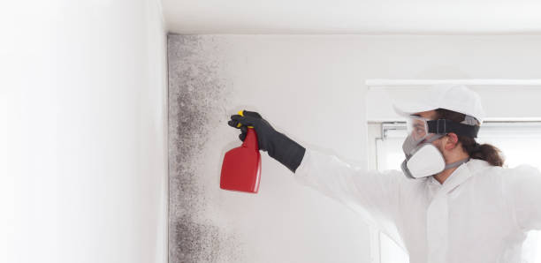 Mold Testing and Removal in Richmond, TX